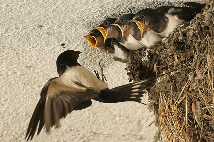 Обычно мать орет на детей, а не наоборот...