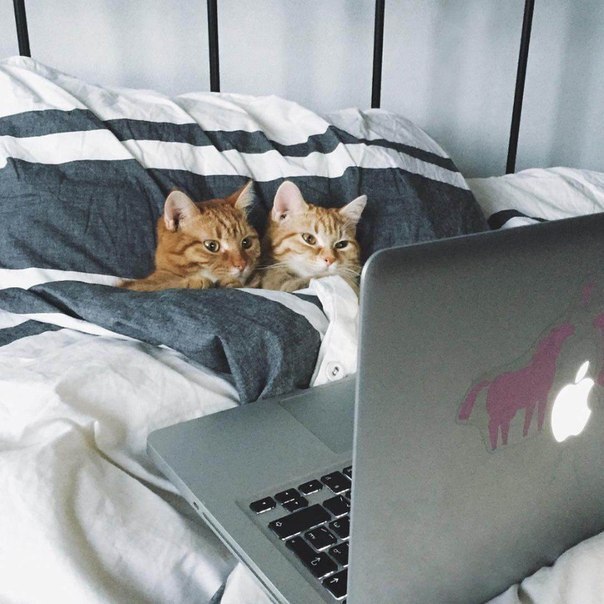  , , , , Macbook, 