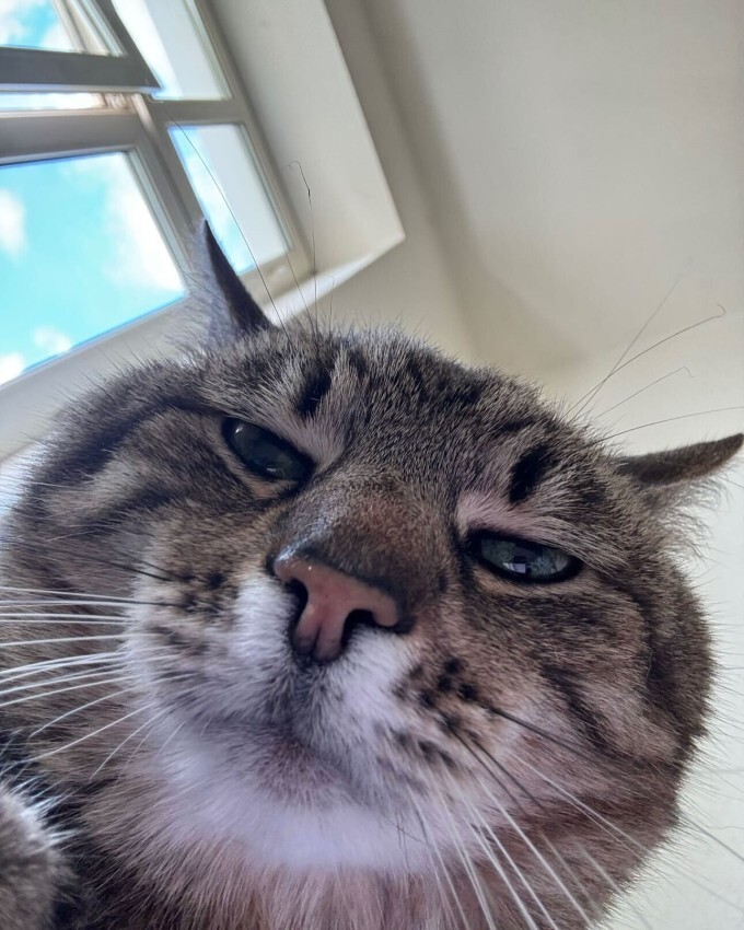      ? , , 