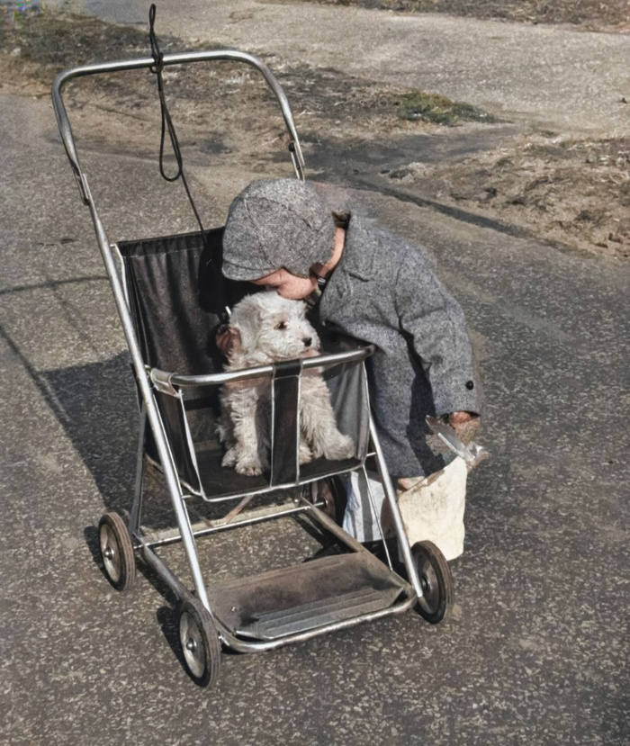 �������� ��� �����