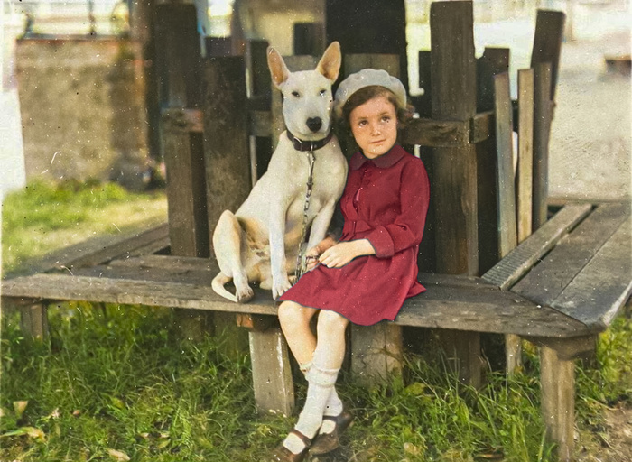 ��������: ��� ���