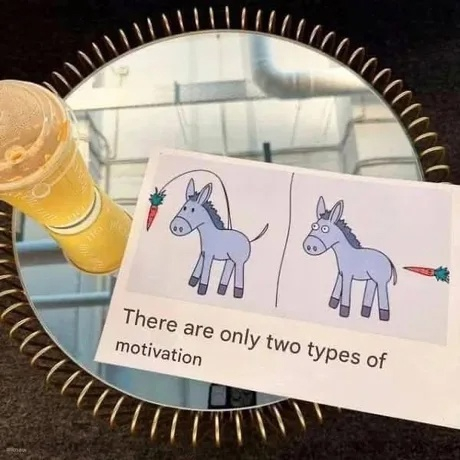 Memes in English Telegram (),  ,  , ,   ,  , 