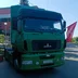 Bulbanegro