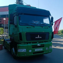 Bulbanegro