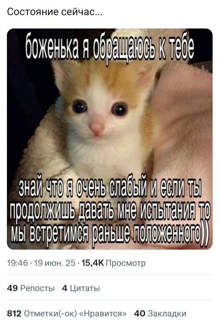    , , , X (Twitter), , 
