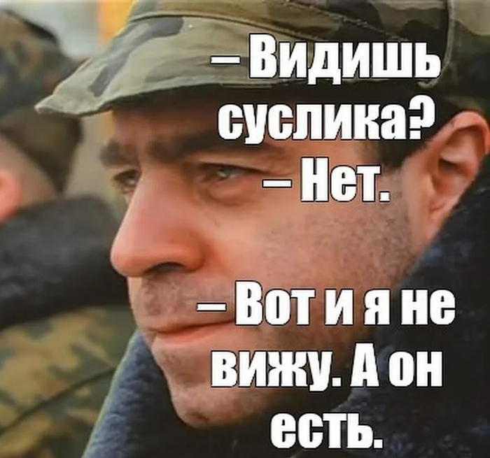 А был ли суслик?