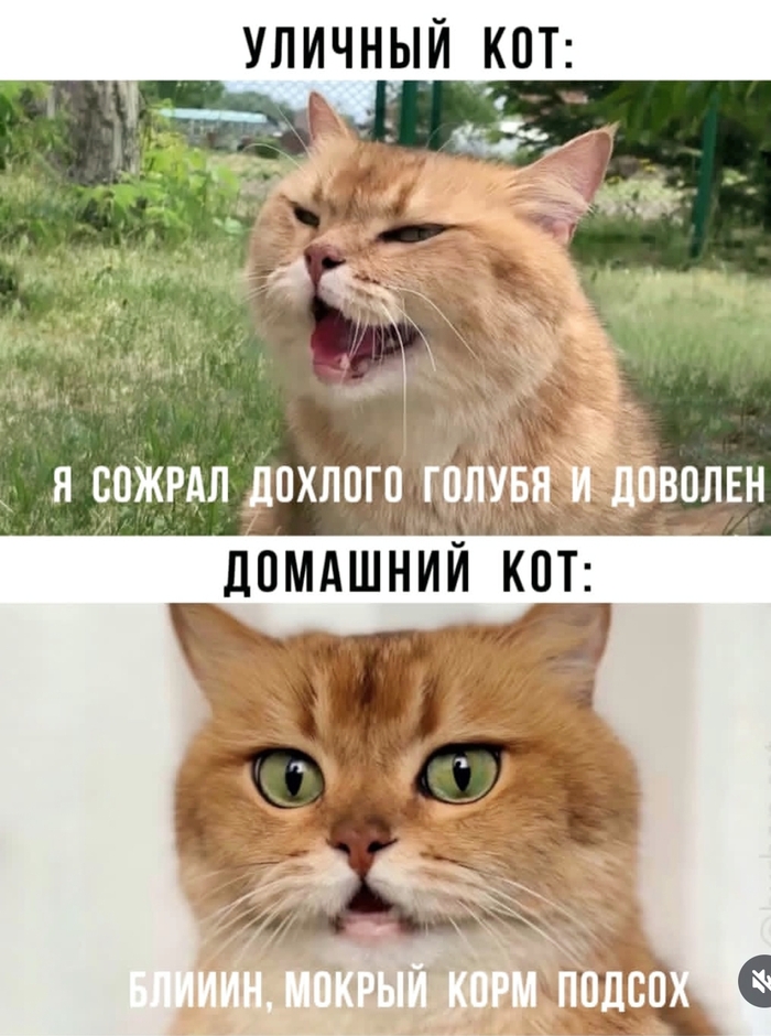    ,  , ,   ,  , , , ,  , ,  ,  