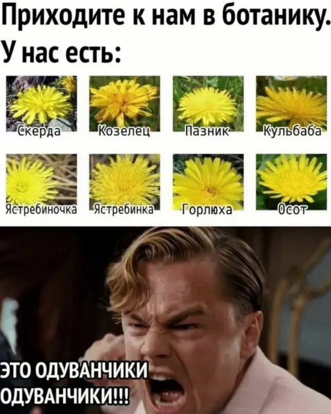      , , , ,  , , , 