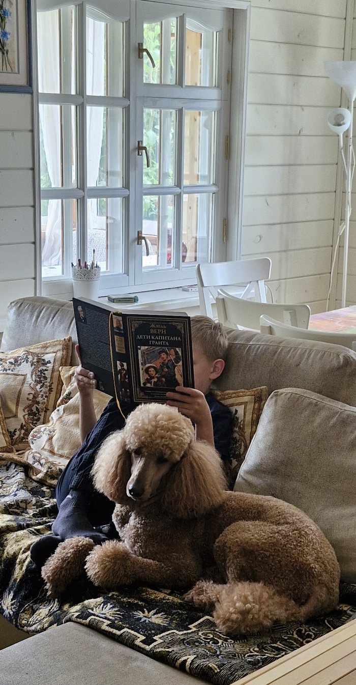 За окном дождь...