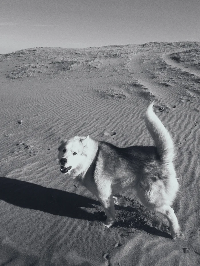 Если вы никогда не были на рыбалке Истории из жизни, Рыбалка, Кольский полуостров, Авторский рассказ, Проза, Рыбаки, Длиннопост