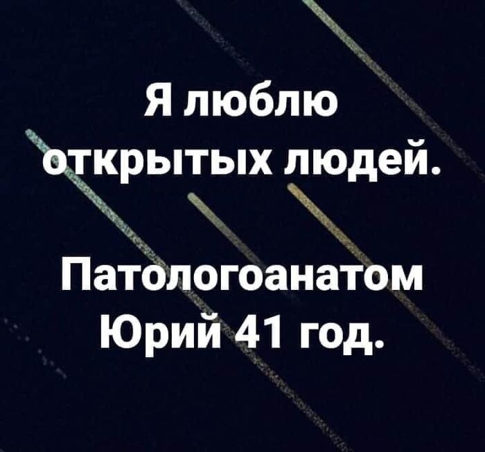   ? ,  ,  , ,   ,  , Telegram ()