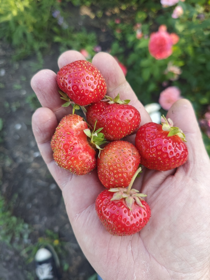         ? , , , , , , , ,   , ,  , 