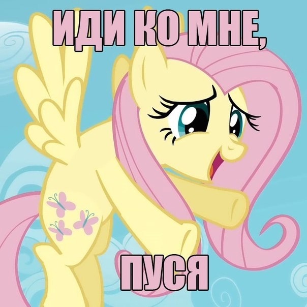Иди ко мне, пуся