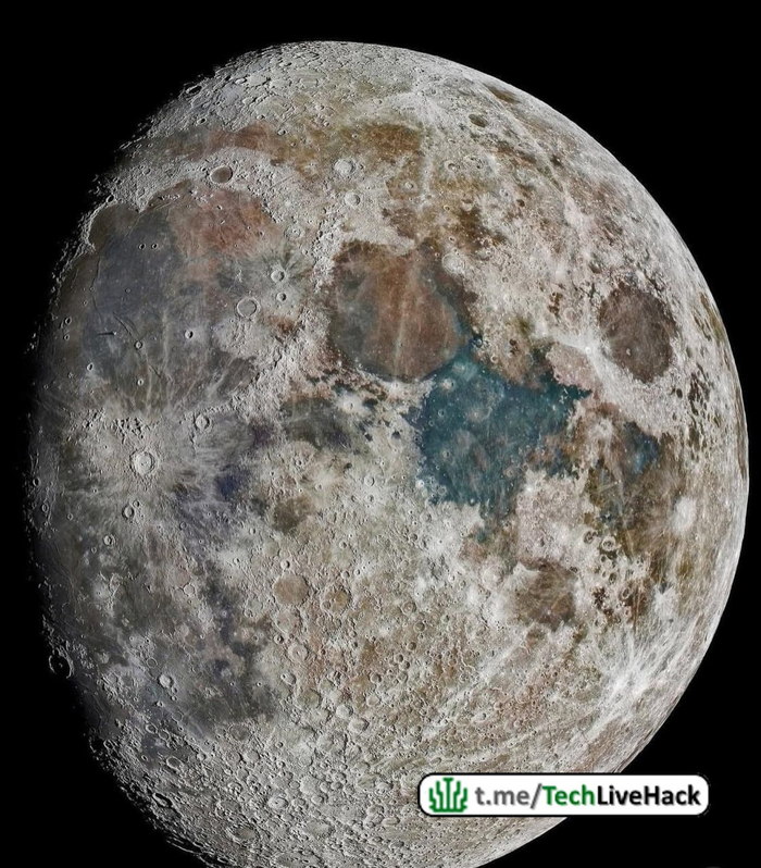  ? , , Telegram (), , , , , NASA