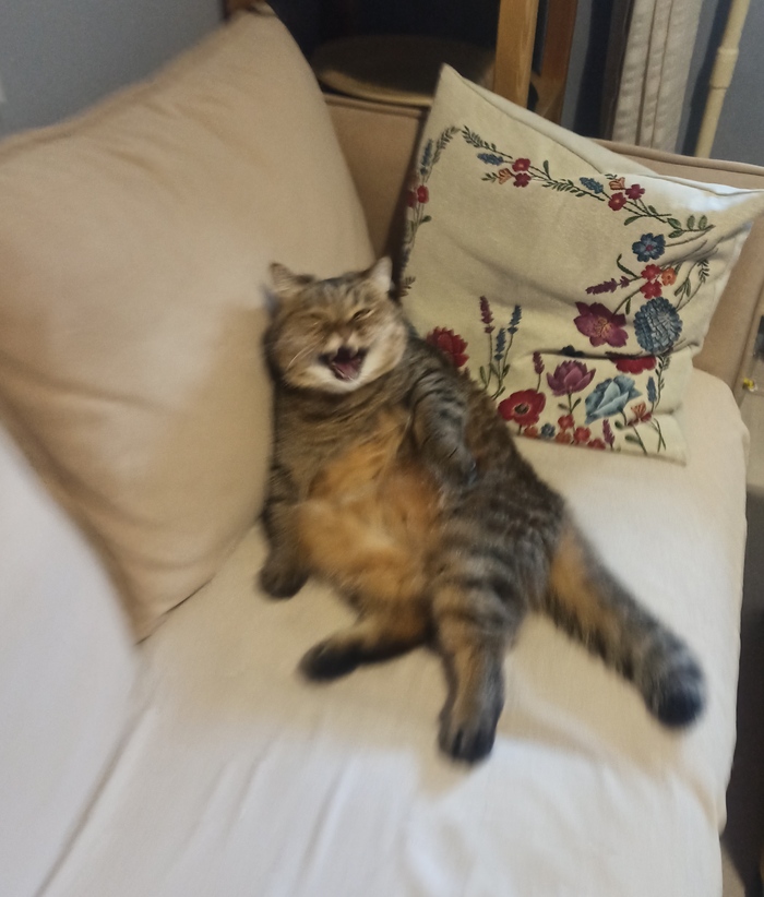     ,       : , ,  