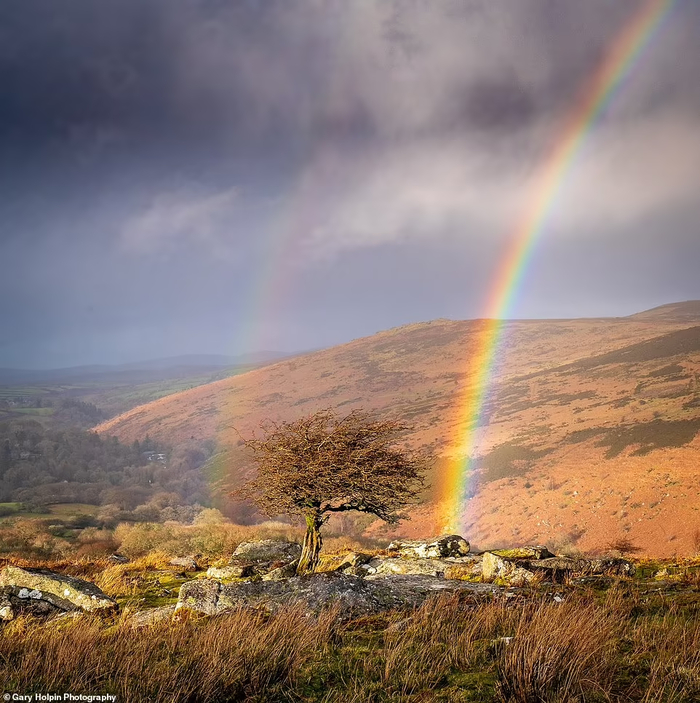 Rainbow , 