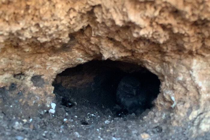 ������� ����� � ����.