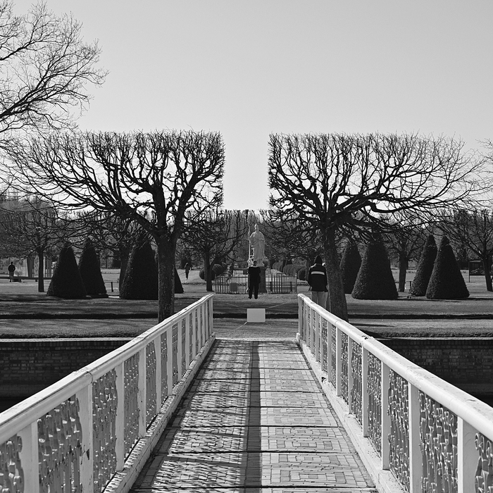   (11) , Nikon,  