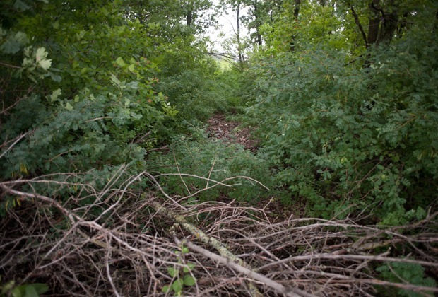 �����, ��� ���� ������� ����� ������, ����� ���� ���� ��������