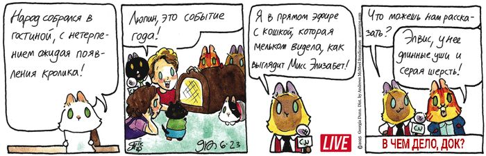 Котейкины Новости от 23.06.2025