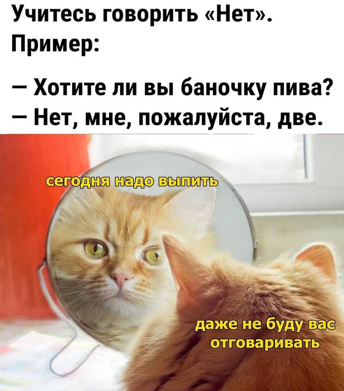   ,   , , 