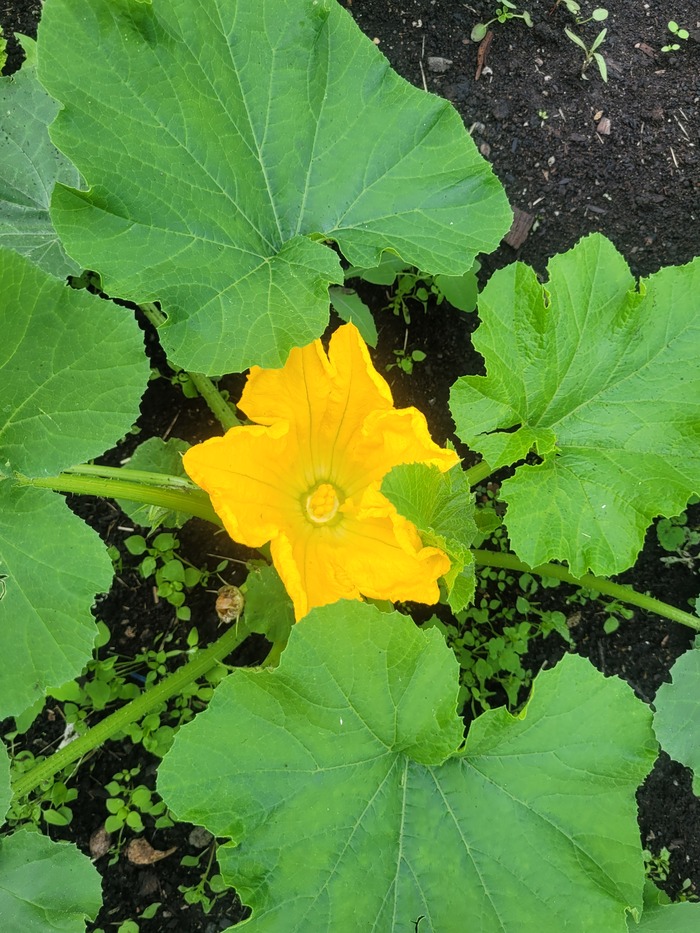     , , , , , , , , , 