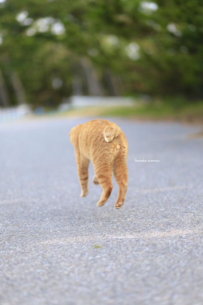  , 