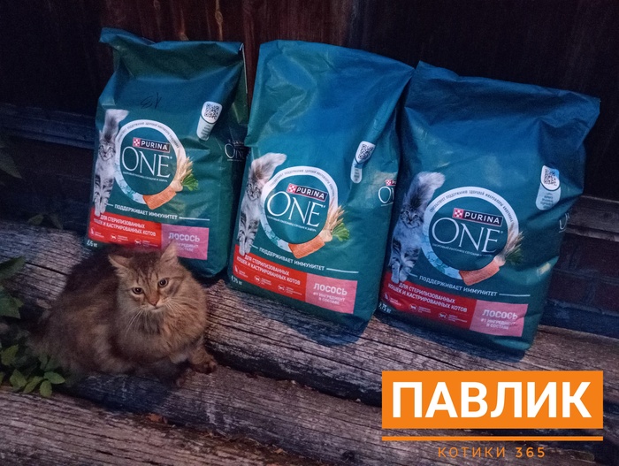 Павлик 22.06.2025