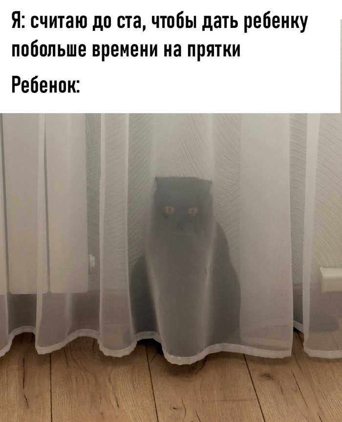     ,   , , , , 