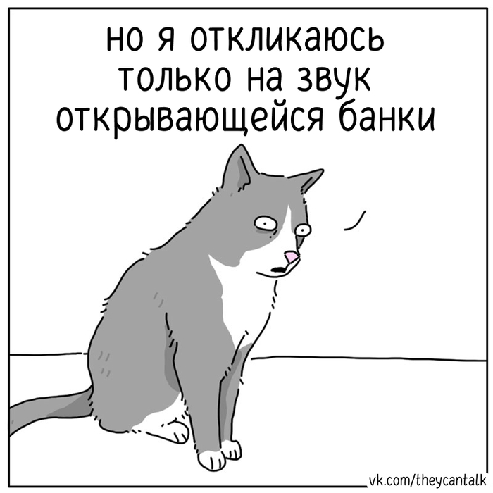  Theycantalk,  , , , ,   , , Telegram (),  ()