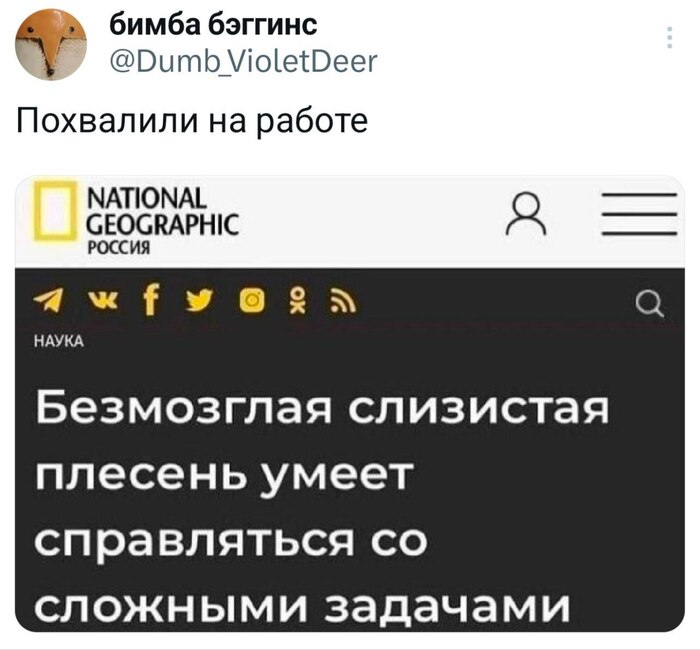   , ,  ,  , 