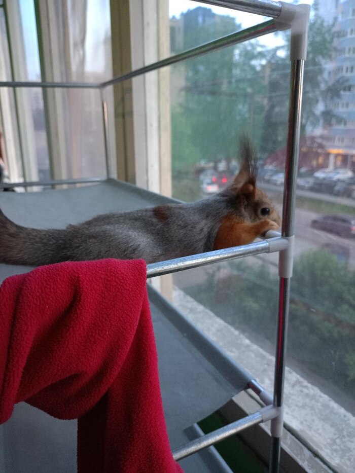 ��������� �� �� ��� �������� ��������� "������"� �� �������������.