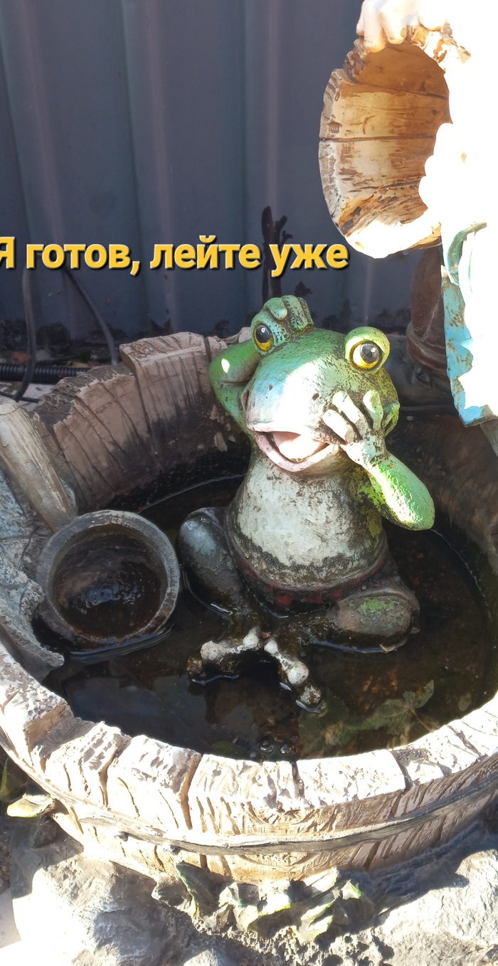  ! , ,  -  ! , , It Is Wednesday My Dudes,   ,  