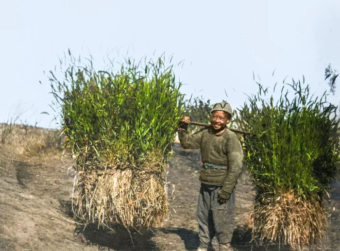 Любопытные фотографии из прошлого стран Азии. 20 раскрашенных фотографий ХХ века. Часть 6 Историческое фото, Старое фото, 20 век, Фотография, Азия, Корея, Южная Корея, Вьетнам, Китай, Япония, Индия, Колоризация, Длиннопост