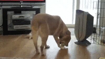  , , , 