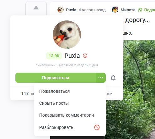  ()  ? ,  (Gravity Falls), Olz777,  