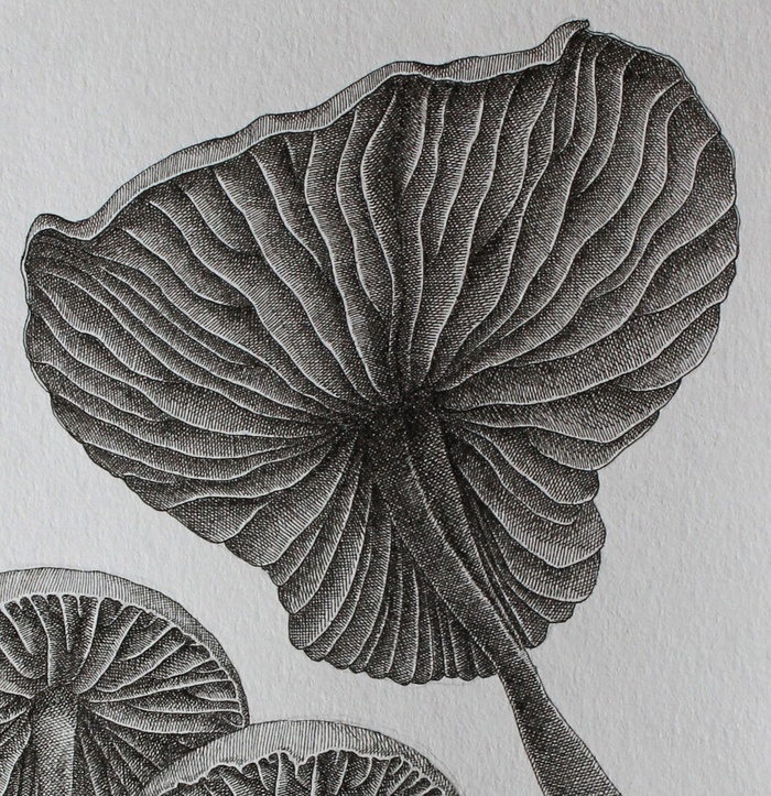 ���������� ������� �������� ������