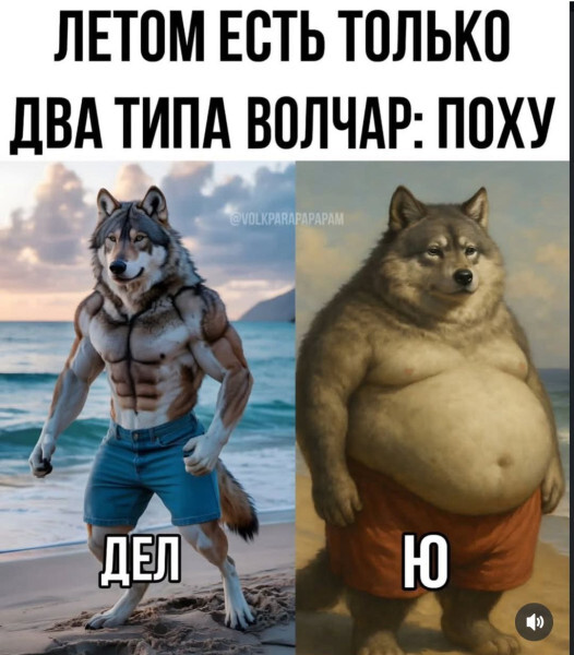    ,   , , ,  , ,  