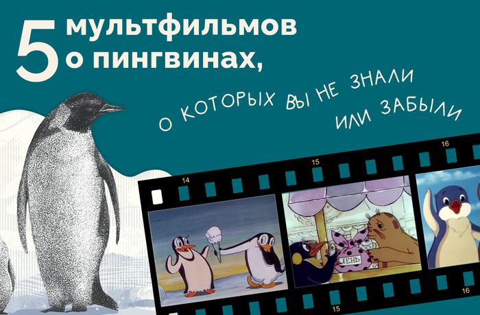 5 историй о пингвинах, о которых вы не знали или забыли
