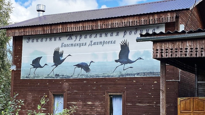 Журавлиная родина