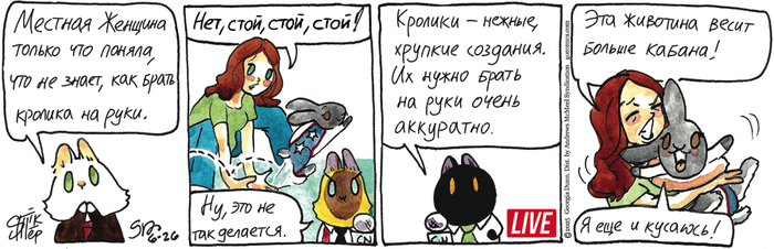 Котейкины Новости от 26.06.2025