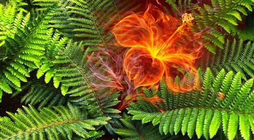 "��������" ����������.