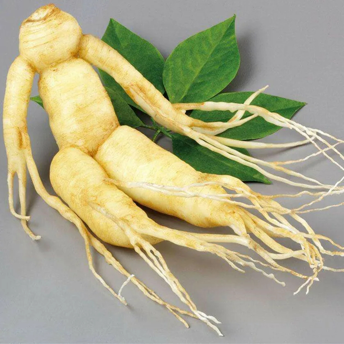 ������ ��������.