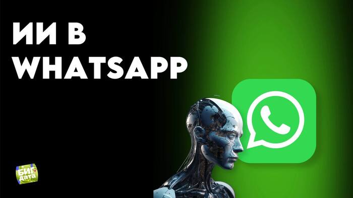 WhatsApp  -    ,  , , , Openai