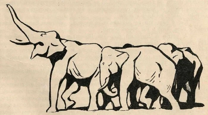 Маугли - выдуманное слово и несуществующая книга Детская литература, Сказка, Редьярд Киплинг, Маугли, Длиннопост