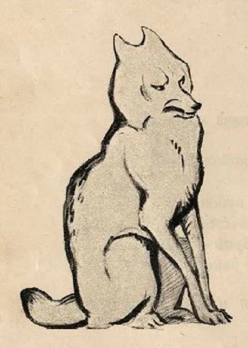 Маугли - выдуманное слово и несуществующая книга Детская литература, Сказка, Редьярд Киплинг, Маугли, Длиннопост