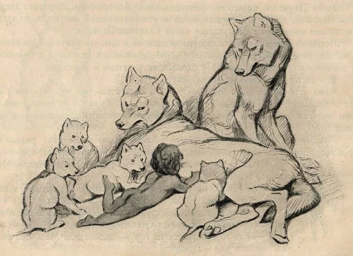 Маугли - выдуманное слово и несуществующая книга Детская литература, Сказка, Редьярд Киплинг, Маугли, Длиннопост