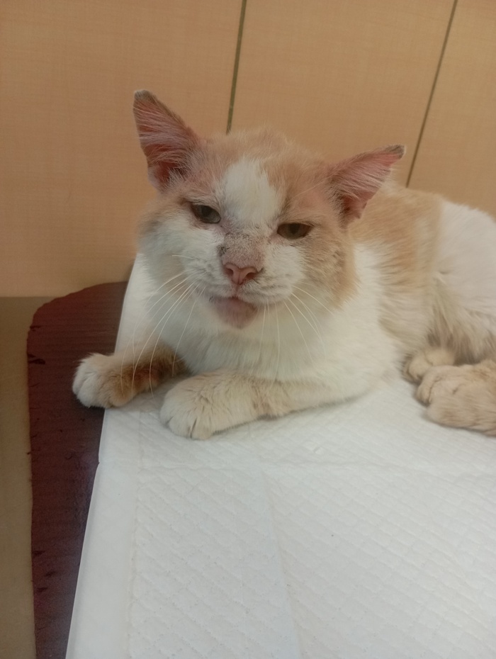       .         ,   .         ,   /    .