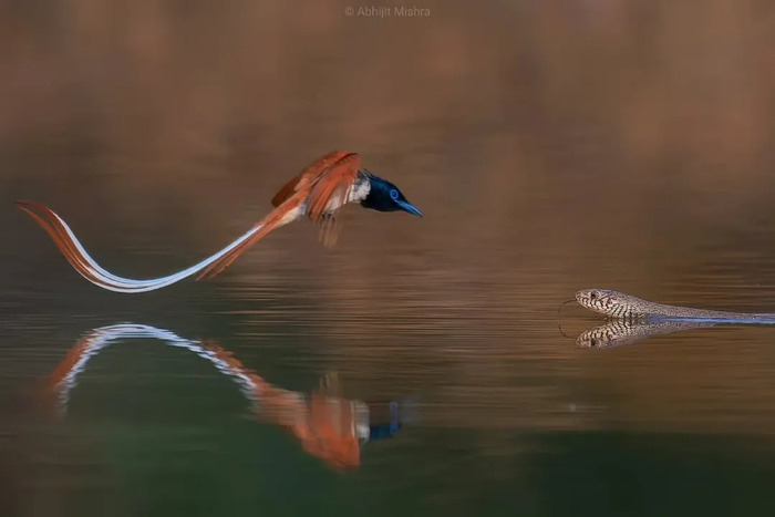       , , , , , ,  ,  , , , 
