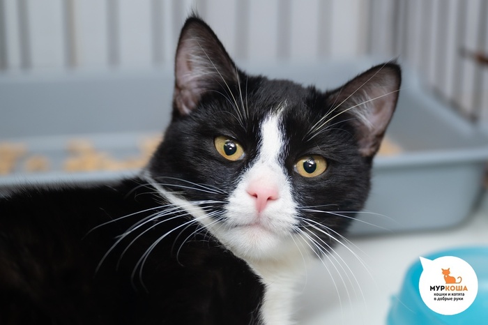    1 ,   .   24.05.2025 .